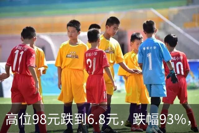 高位98元跌到6.8元，跌幅93%，十轮反弹都挡不住持续下杀的趋势